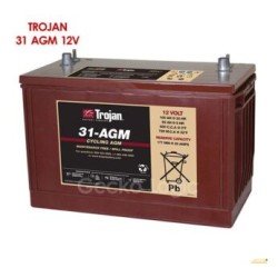Bater?a Marca Trojan Modelo 31AGM. Capacidad de 100AH@12V a 20Hrs. Sellada, libre de mantenimiento. Grupo BCI: 31. Peso 31 Kg.