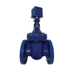 V?lvula de compuerta con asiento de bronce marca AMEXSA de 8? de di?metro