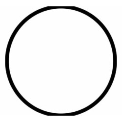 Junta t?orica para portafiltro de color blanco de 2.5? de di?metro – ?smosis inversa – R-PKORINGPFB