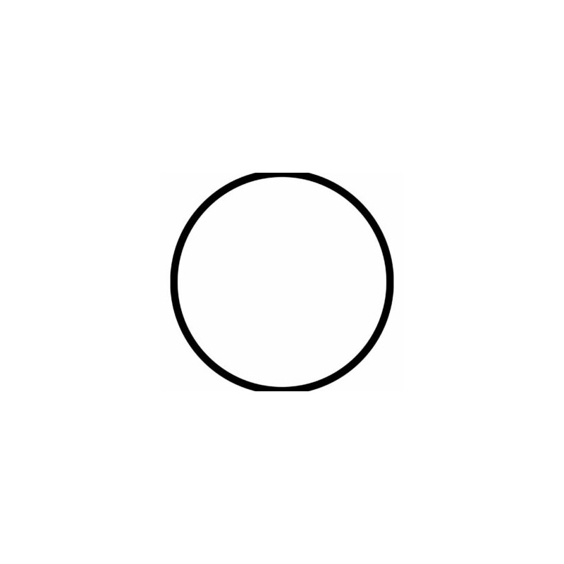 Junta t?orica para portafiltro de color blanco de 2.5? de di?metro – ?smosis inversa – R-PKORINGPFB