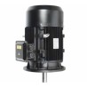 Motores PREMIUM para bombas serie TX y TXE de 3 hp 3×230/460v